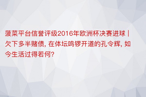 菠菜平台信誉评级2016年欧洲杯决赛进球 | 欠下多半赌债, 在体坛鸣锣开道的孔令辉, 如今生活过得若何?